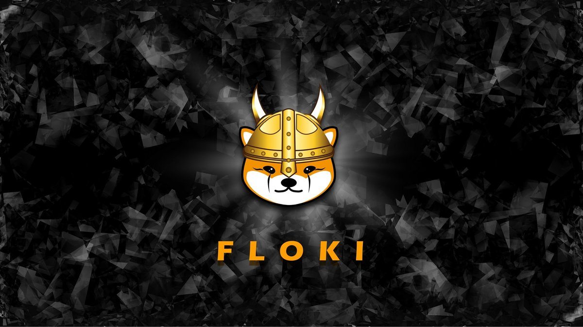 Floki Memecoin
