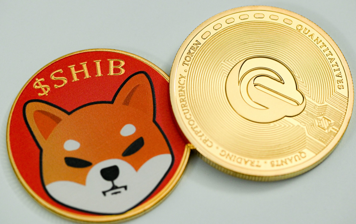 Shiba Inu